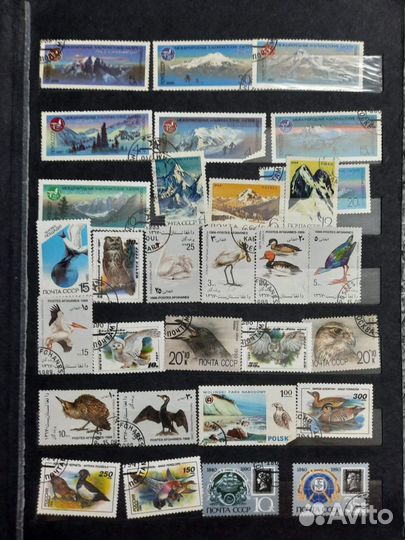 Альбом с марками