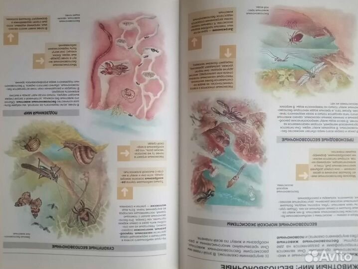 Атлас по биологии