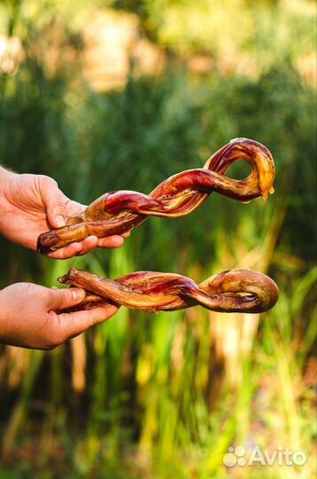 Лакомства для собак