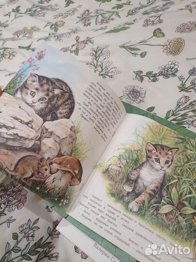 Книги Кошачье детективное агентство