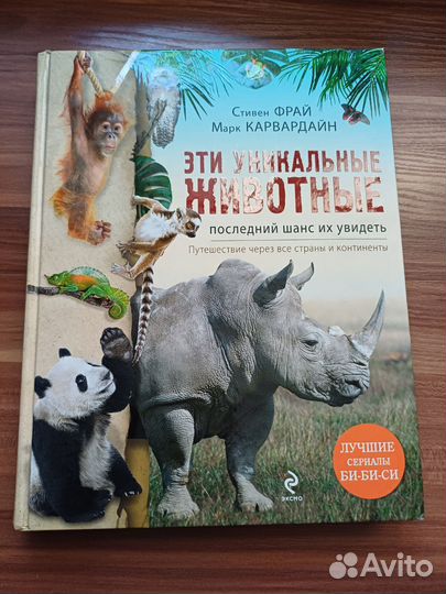 Эти удивительные животные