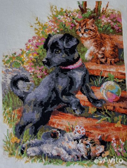 Домашние любимцы