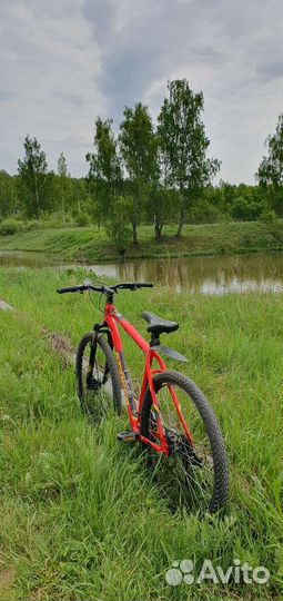 Stinger element pro 29 xl