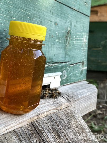 Натуральный мед 2023 с семейной пасеки