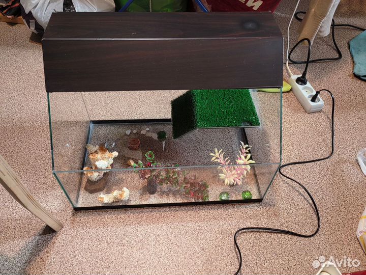 Аквариум для красноухой черепахи
