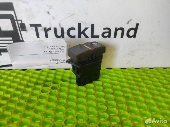 Кнопка многофункциональная Man Tgs