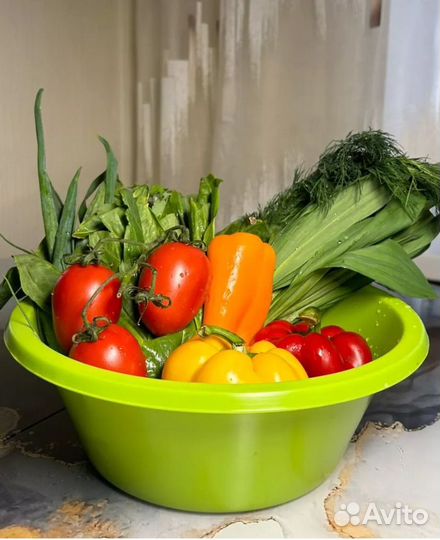 Тазик пластиковый 3л для кухни. Синие и зеленые