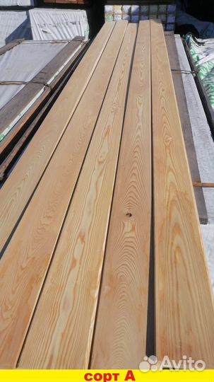 Планкен косой лиственница