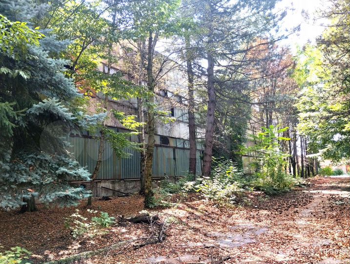 Производство, 2480 м²
