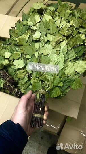 Банные веники дубовые березовые хвойные