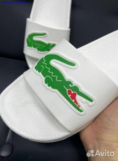 Сланцы lacoste