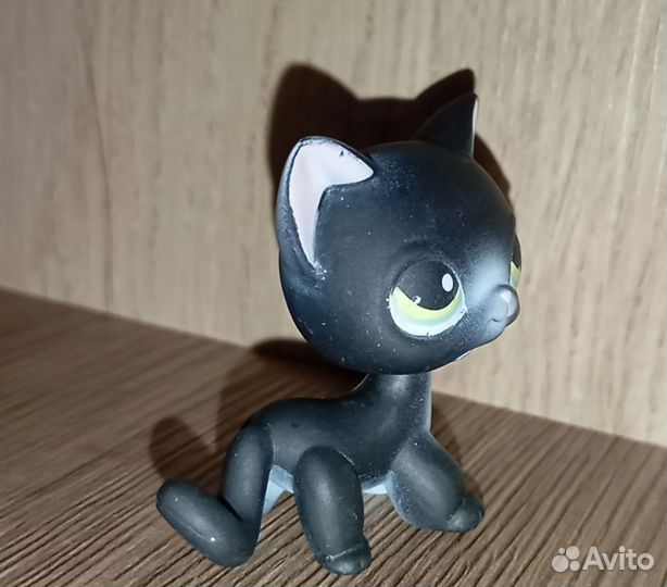 Littlest pet shop lps short hair cat #336