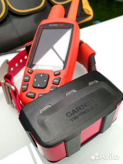 Garmin Astro 900 + T9 US