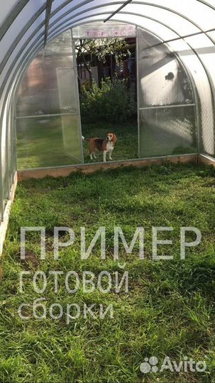 Усиленная теплица 6 м