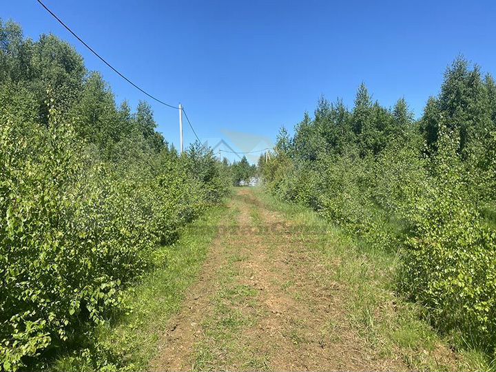 Участок 30 сот. (ИЖС)