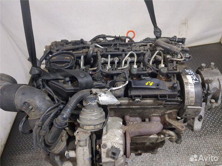 Двигатель Volkswagen Jetta 5, 2010