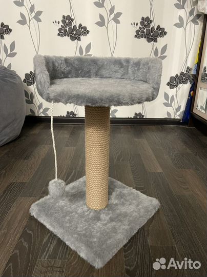 Когтеточка