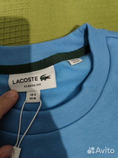 Толстовка lacoste оригинал