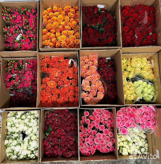 Цветы оптом для цветочных магазинов