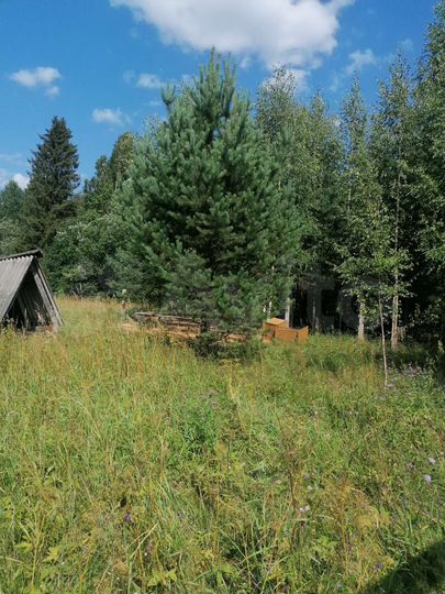 Дача 22 м² на участке 12 сот.