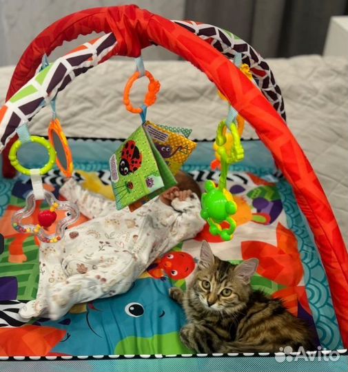 Развивающий коврик