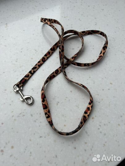 Одежда для собак