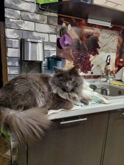 Дом 90 м² на участке 9 сот.