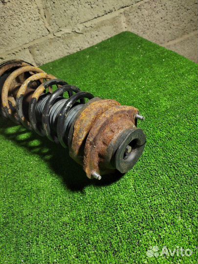 Стойка подвески задняя правая Kia Spectra 1 S6D