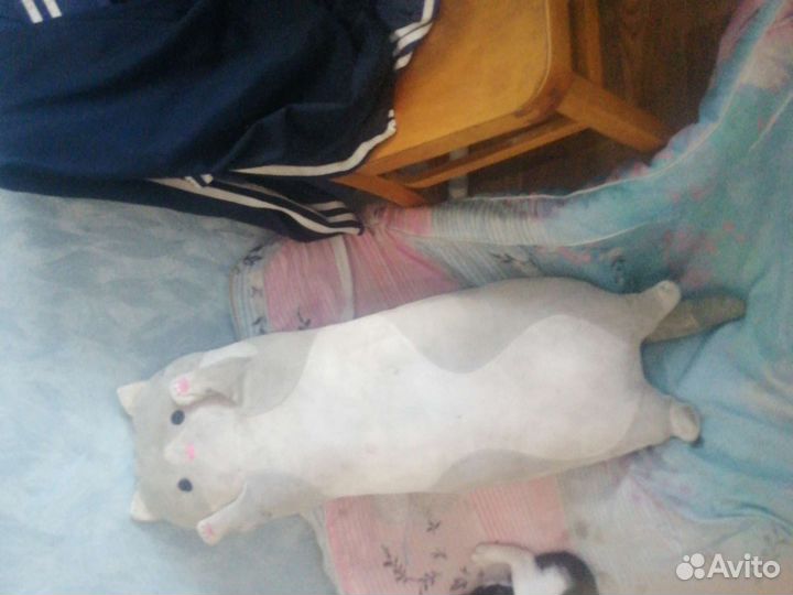 Плюшевый кот