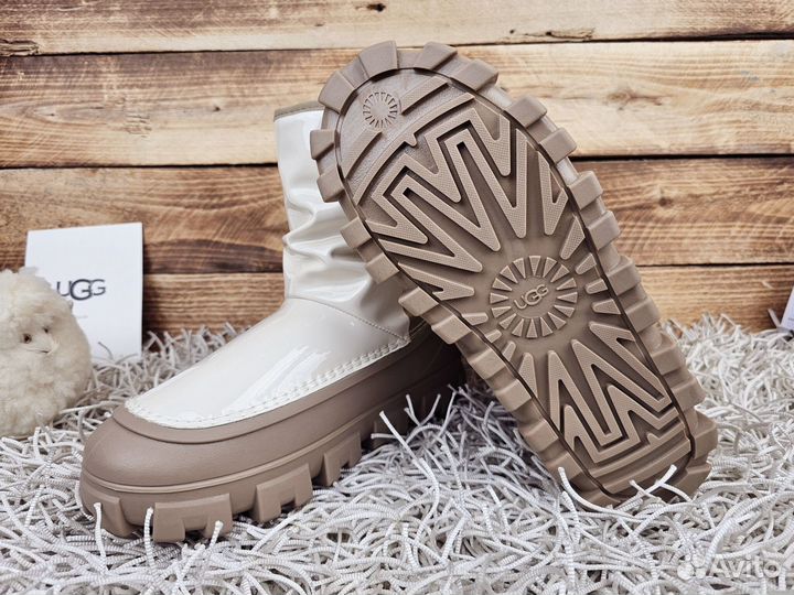 Сапоги UGG Brellah New Must Seed женские оригинал