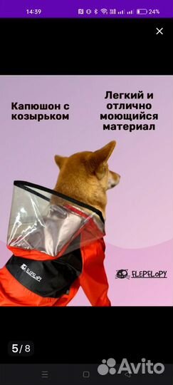 Дождевик для средней собаки