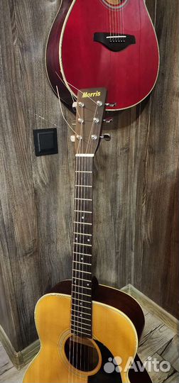 Morris f-20 (Japan) 1976-1979