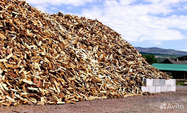 Дрова осина