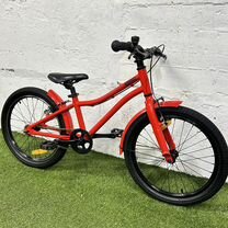 Bear bike kitiez 20