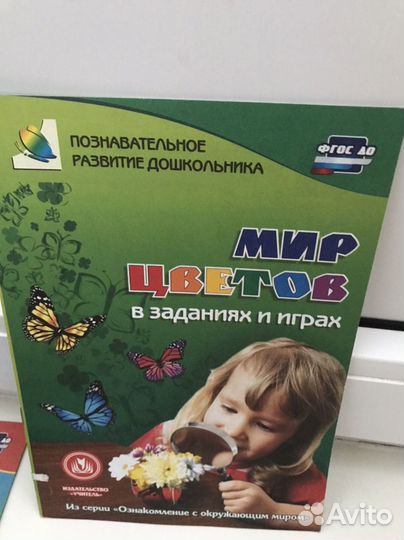 Познавательное развитие ребенка