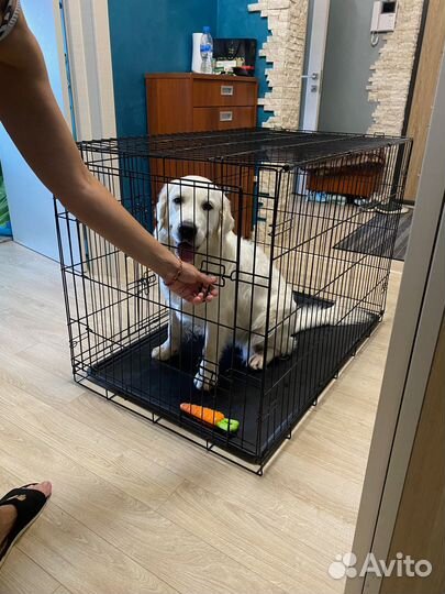 Клетка для большой собаки бу
