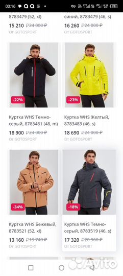 Пуховик зимний мужской WHS