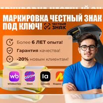 Маркировка. Честный Знак под ключ, Ступино