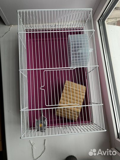 Набор для хомяка/крысы