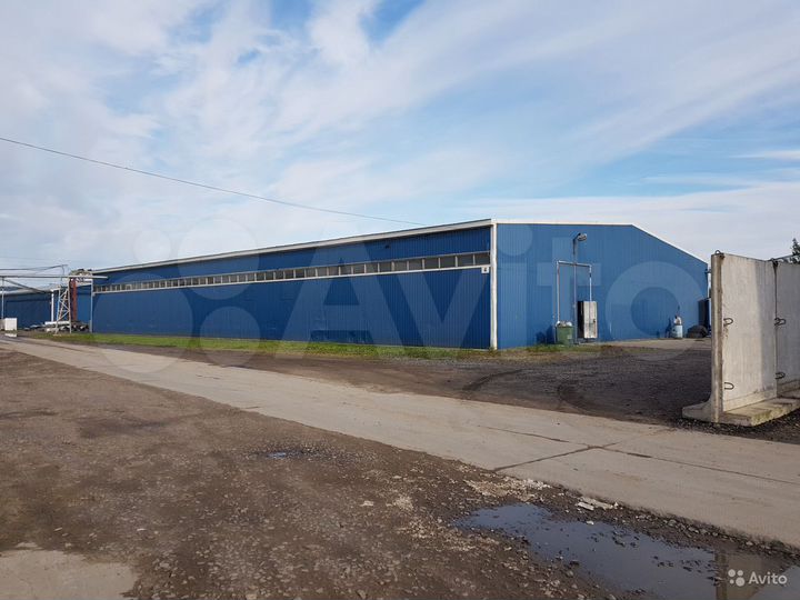 Производство, 1500 м²