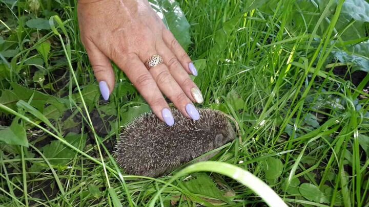 Участок 22 сот. (ИЖС)