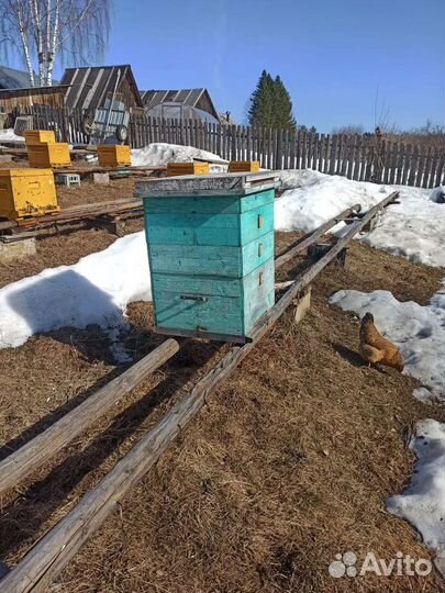 Ульи для пчел