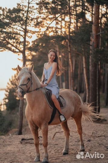 Конные прогулки