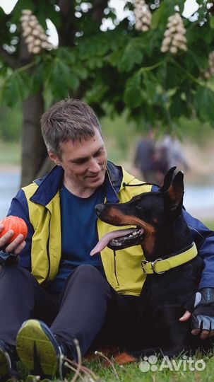 Кинолог. прогулка на провисшем поводке