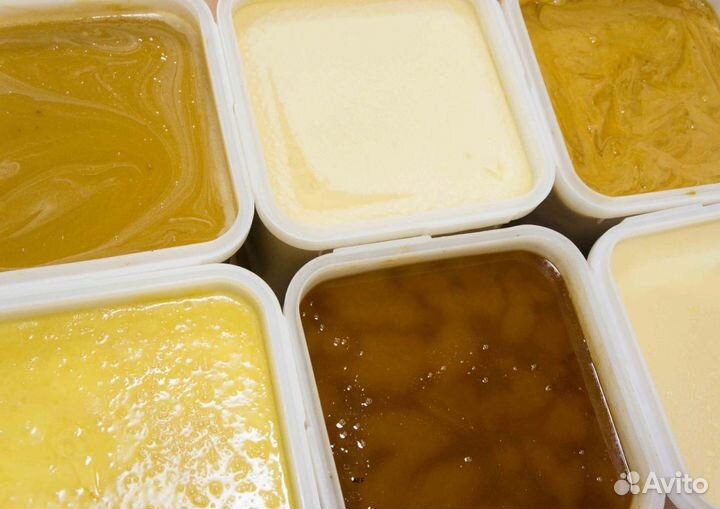 2024 Мёд натуральный из Алтая опт