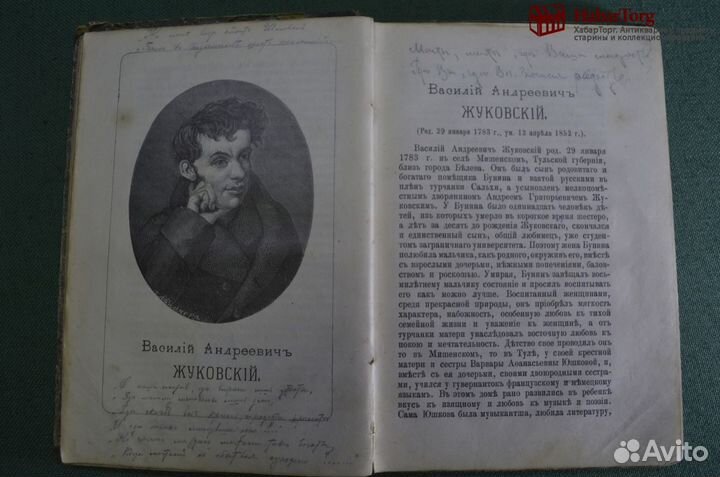 Двадцать биографий образцовых русских писателей (с