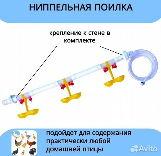 Ниппельная поилка для птицы