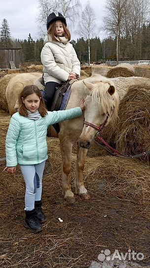 Бриджи детские для верховой езды Dublin