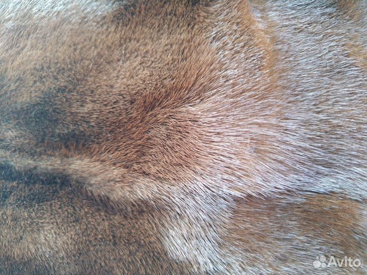 Кусочки меха норки