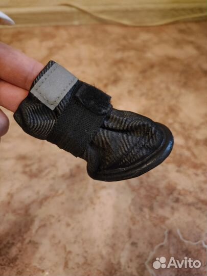 Обувь для маленьких собак